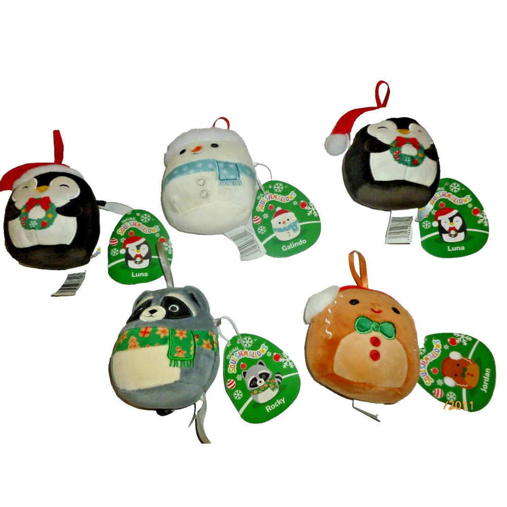 Lot‎ of 5 Galindo Squishmallow 4” NWT Squishmallow Jordan Luna Rocky